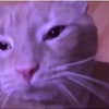 emobxtch420 Altpins Profile Picture