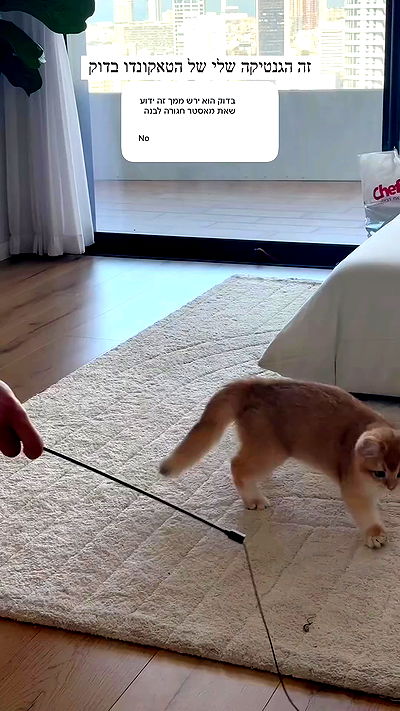 itsilanosh itsilanosh archive video