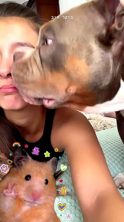 kesemgreenyer kesemgreenyer archive video