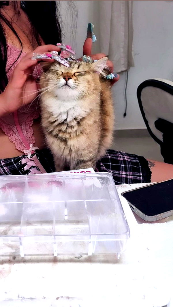 hellokittyangel666 archive video preview