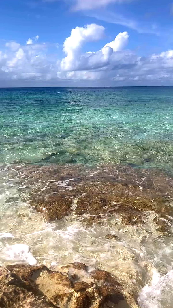 ilovedaniae archive video preview