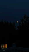 angxl.sky Altpins Profile Picture
