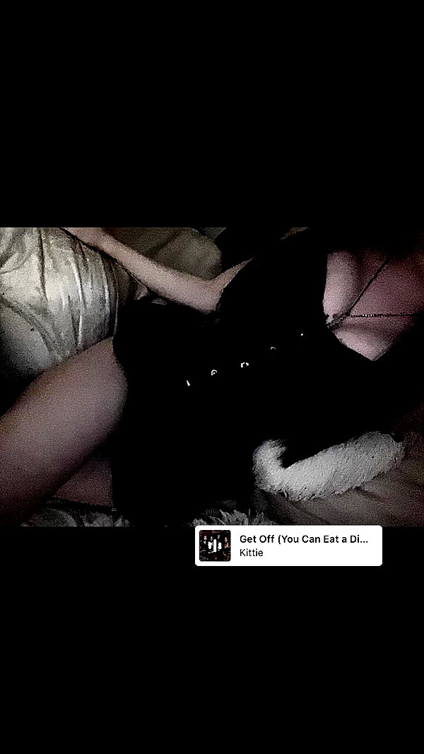 tiedmyribbon archive video preview
