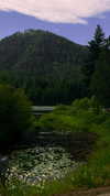 angxl.sky Altpins Profile Picture