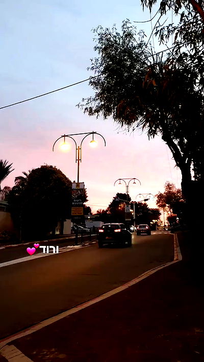 yam_adler yam_adler archive video