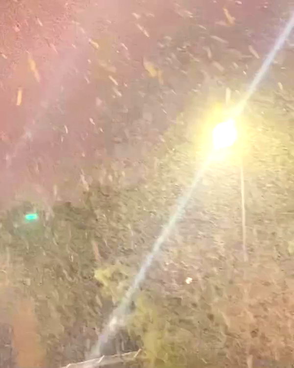 shhmery archive video preview