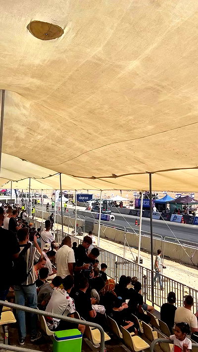 simp_for_cats_ simp_for_cats_ archive video