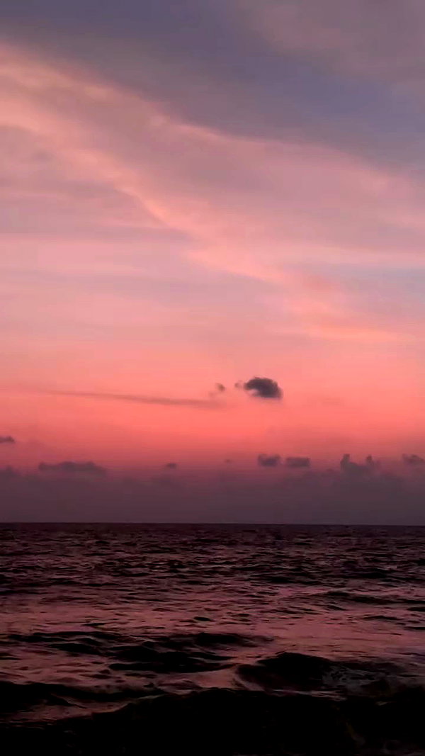 a.shaked_ archive video preview