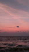 a.shaked_ Altpins Profile Picture