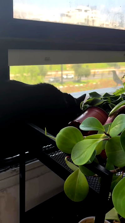 hellokittyangel666 hellokittyangel666 archive video