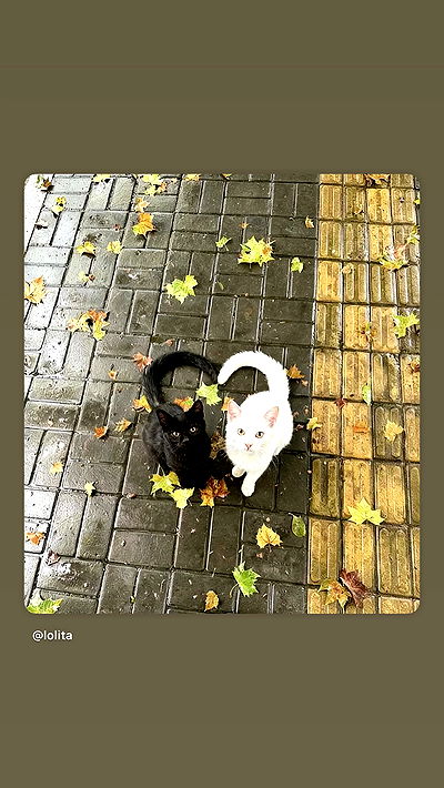 alexandramarianna alexandramarianna archive video