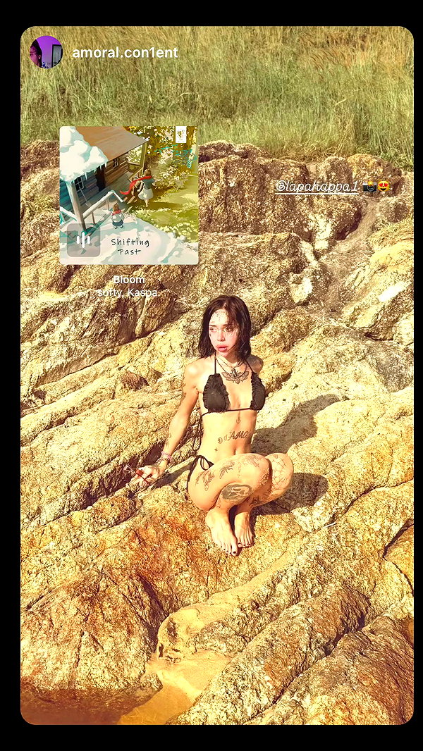 lapahappa1 archive video preview