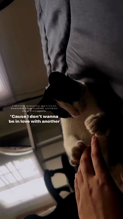 oqr0_ oqr0_ archive video