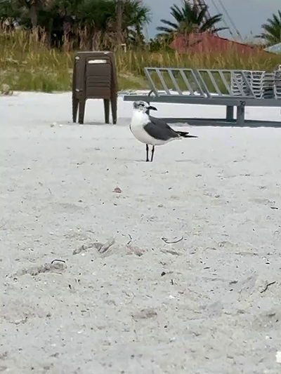 iluvmeww iluvmeww archive video