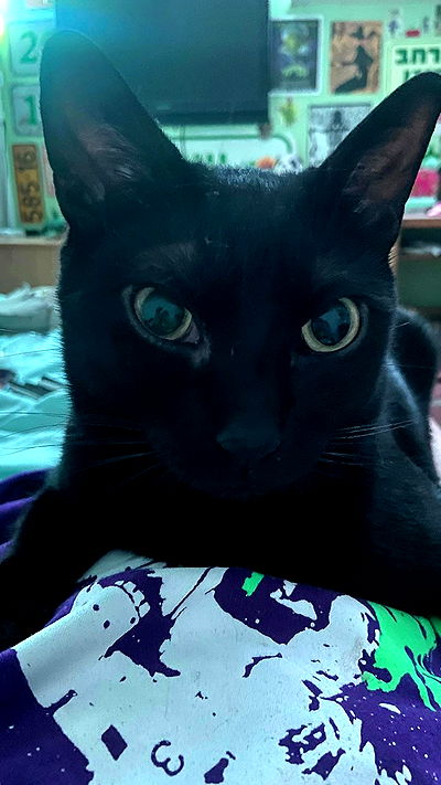 feelbetterinmysweater feelbetterinmysweater archive video