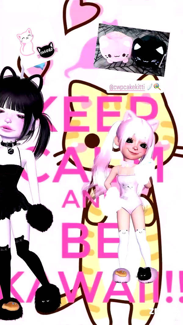 pawcalii archive video preview