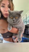 emelye.ender Altpins Profile Picture