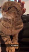 emelye.ender Altpins Profile Picture