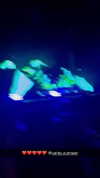emelye.ender Altpins Profile Picture