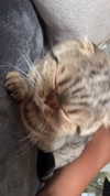 emelye.ender Altpins Profile Picture