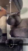 emelye.ender Altpins Profile Picture