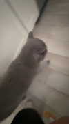 emelye.ender Altpins Profile Picture