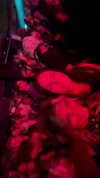 emelye.ender Altpins Profile Picture