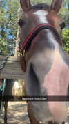 emelye.ender Altpins Profile Picture