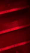 emelye.ender Altpins Profile Picture