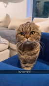 emelye.ender Altpins Profile Picture