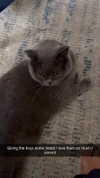 emelye.ender Altpins Profile Picture