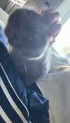 emelye.ender Altpins Profile Picture
