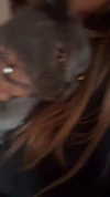 emelye.ender Altpins Profile Picture
