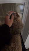 emelye.ender Altpins Profile Picture