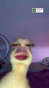 yaarat11 Altpins Profile Picture