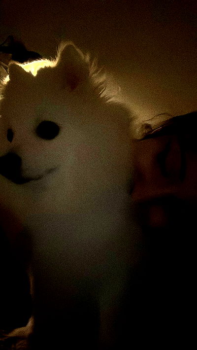 romy_ayalla_lavi romy_ayalla_lavi archive video