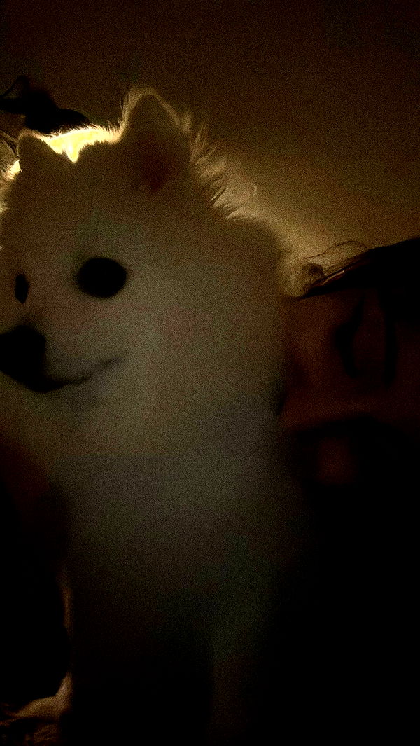 romy_ayalla_lavi archive video preview