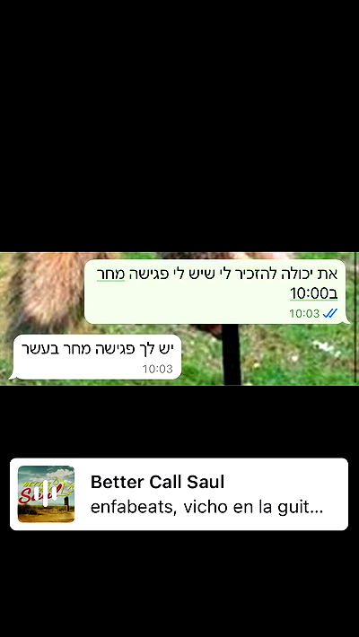 yannaidebeer yannaidebeer archive video