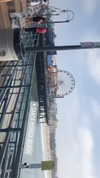 mai_glazer Altpins Profile Picture