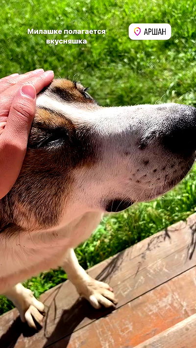 ninja.vi ninja.vi archive video