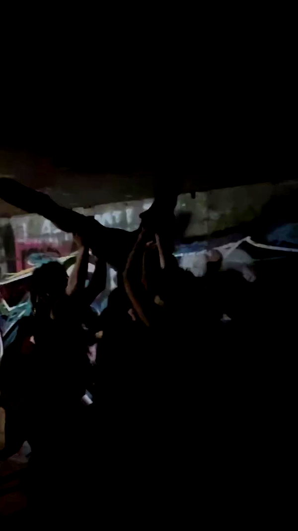 avitalll._ archive video preview