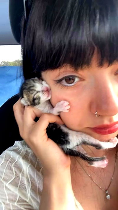 yam_adler yam_adler archive video