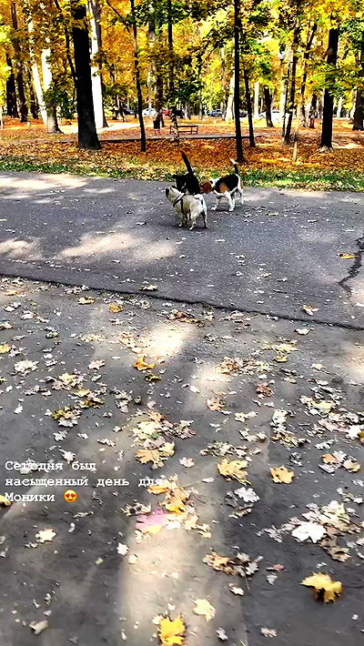 nyityam nyityam archive video