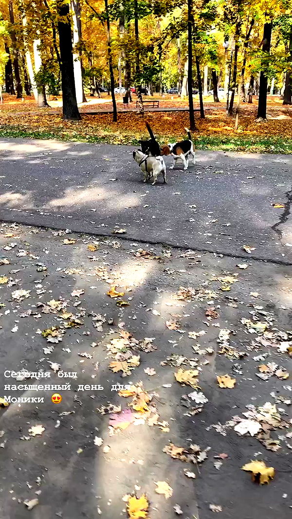 nyityam archive video preview