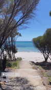 eloise_wensley Altpins Profile Picture