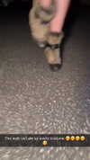 kalogerassunday Altpins Profile Picture