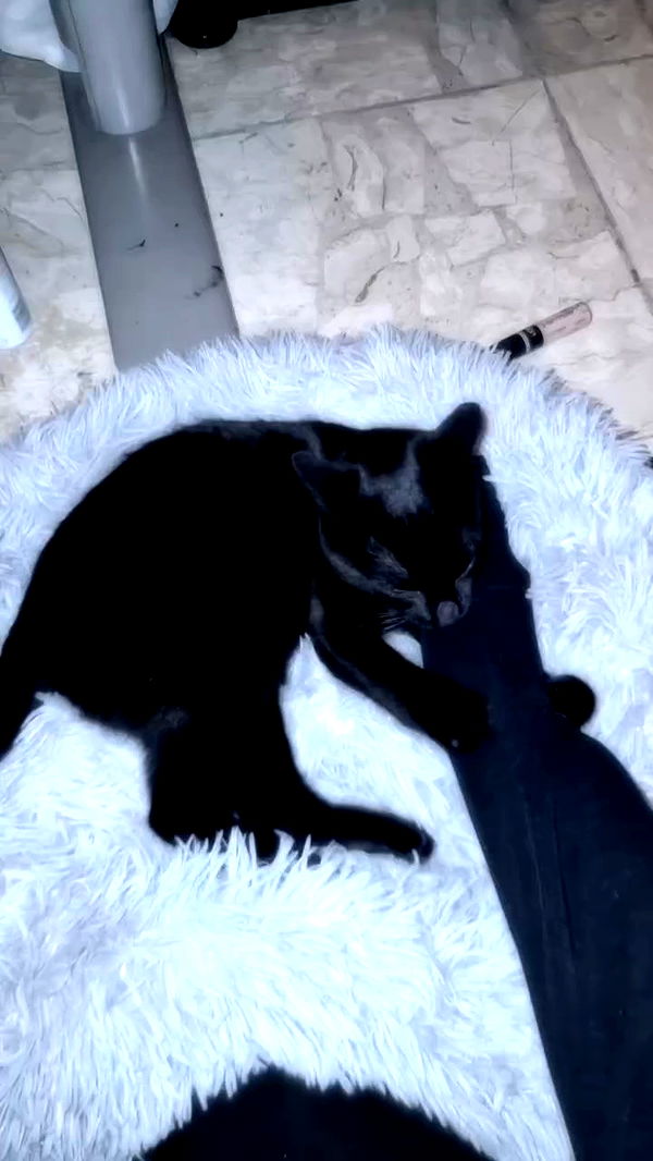 aekamee archive video preview