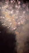 __qq16 Altpins Profile Picture
