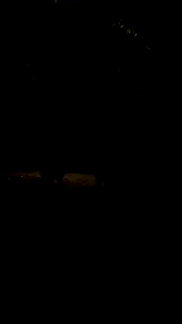 scarwarslol archive video preview