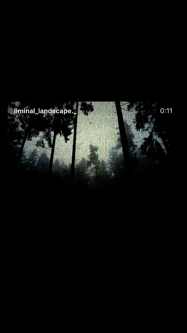 daniiiiichka archive video preview